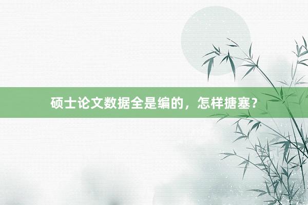 硕士论文数据全是编的，怎样搪塞？