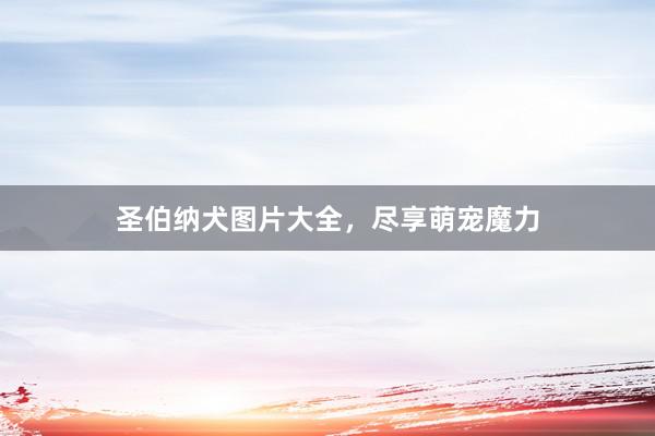圣伯纳犬图片大全，尽享萌宠魔力