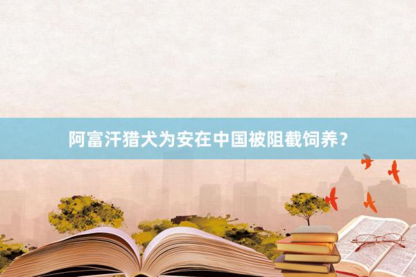 阿富汗猎犬为安在中国被阻截饲养？